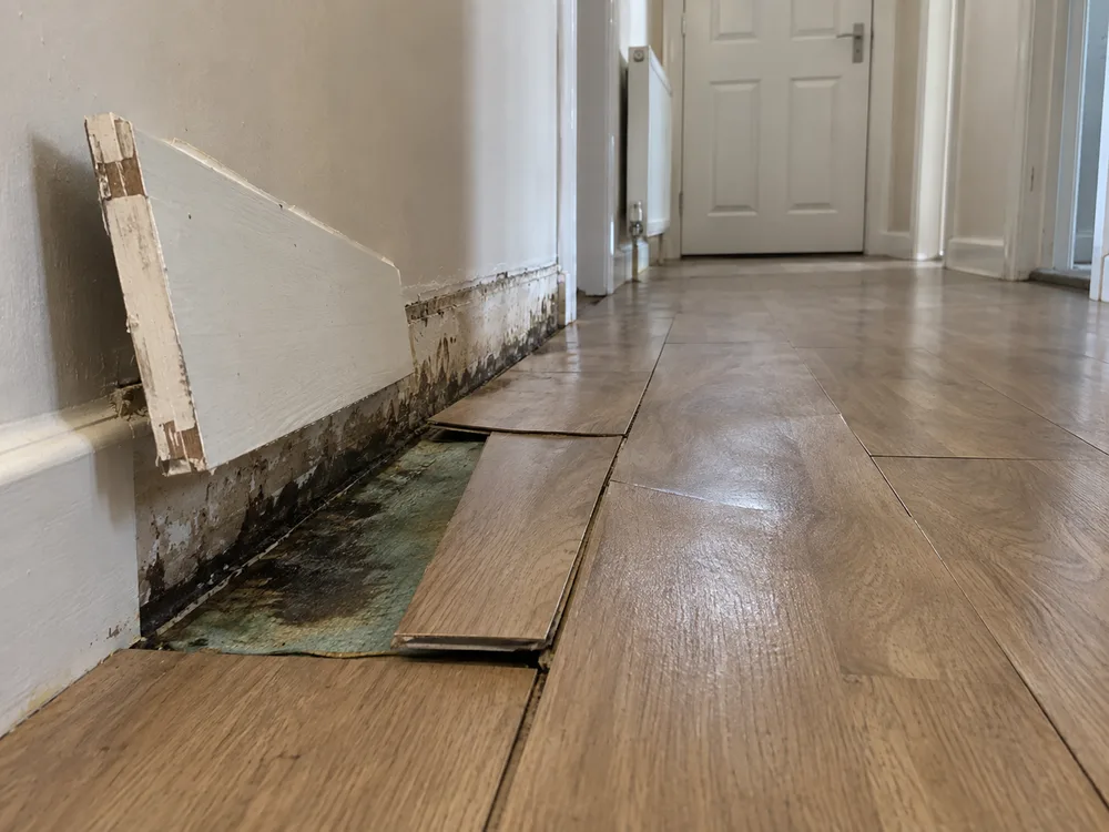 Technician mapping moisture near a kitchen leak with a dehumidifier running
