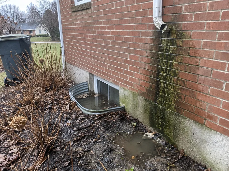 Local restoration crew with air movers and dehumidification equipment